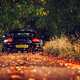 Illustration for article titled #cddcphotocontest FALLow up. FALL!!!!!!
